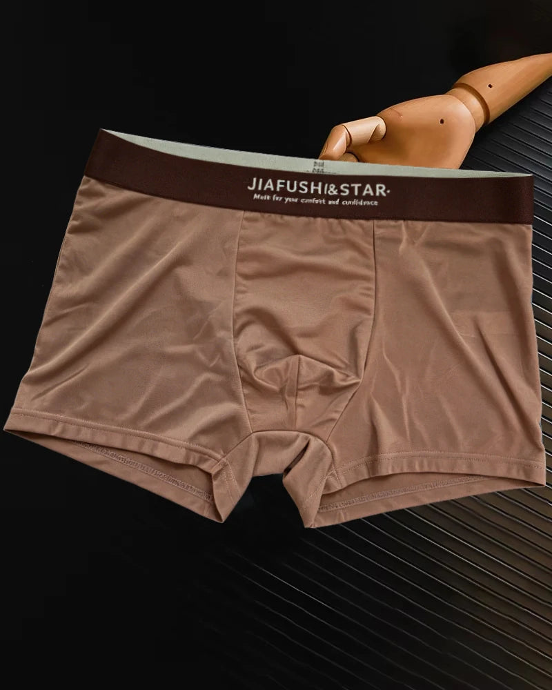 6-Pack Satin-Like Ice Silk Boxers
